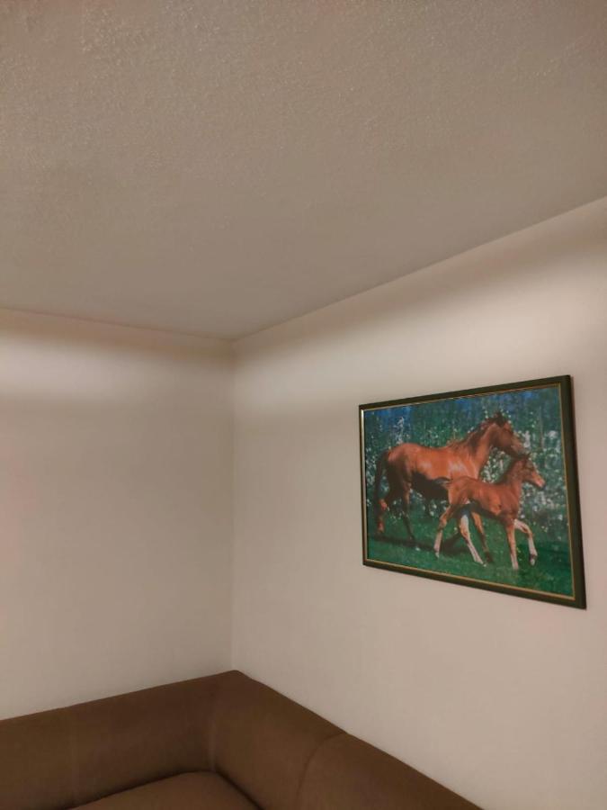 Apartament 6 Osobowy Szklarska Poręba Buitenkant foto